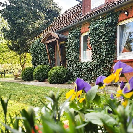Am Alten Haus Altenmedingen Экстерьер фото