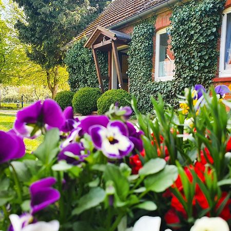 Am Alten Haus Altenmedingen Экстерьер фото