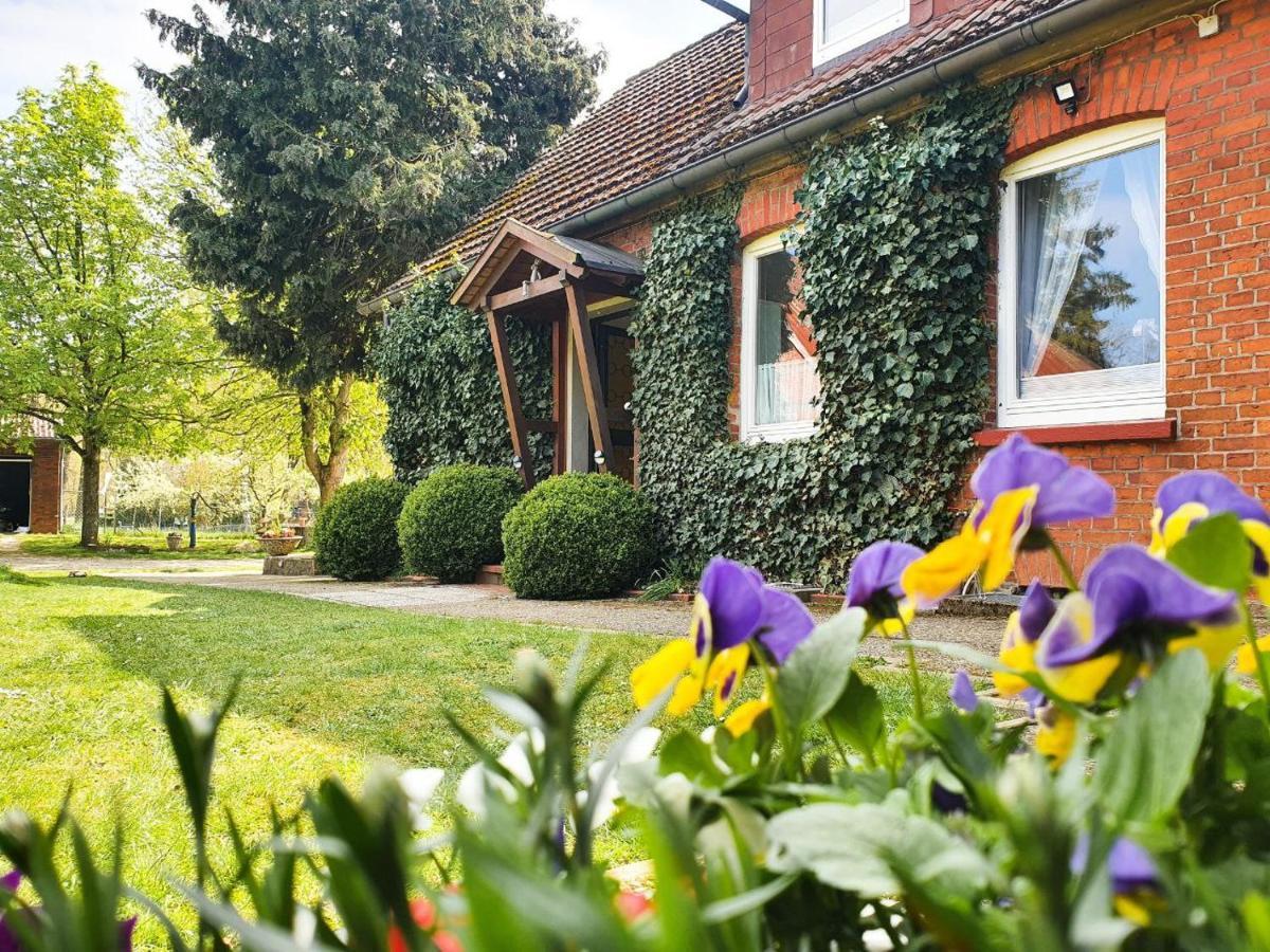Am Alten Haus Altenmedingen Экстерьер фото