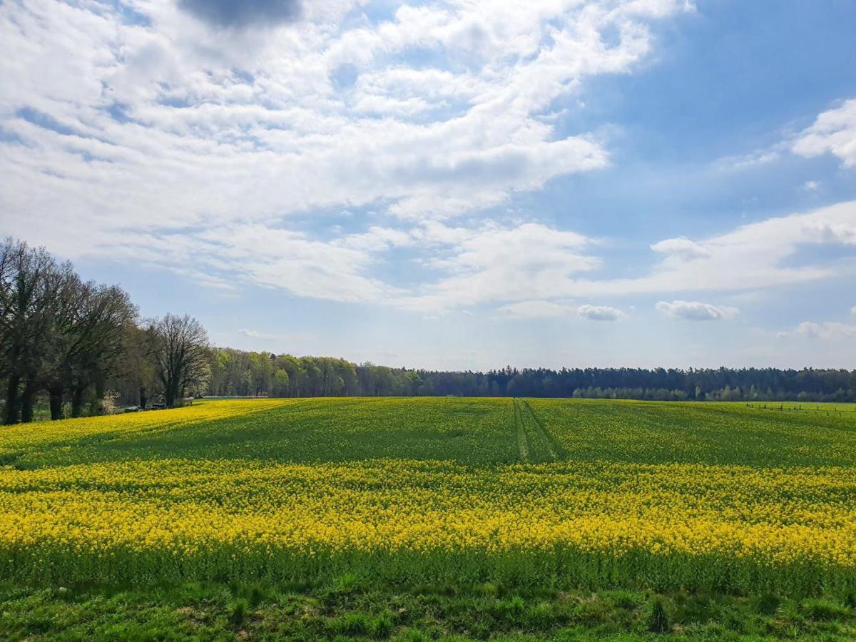 Am Alten Haus Altenmedingen Экстерьер фото